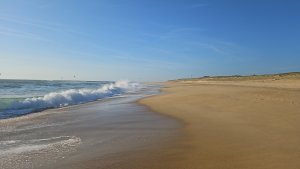 Noémie MASSIN BüRKI