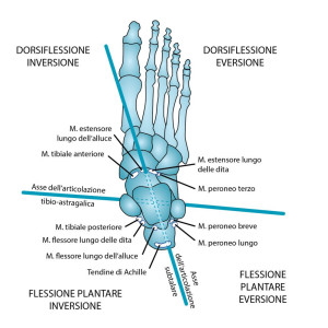 TuHands Nicola Parolin