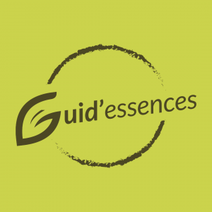 Guid'essences - Guida Simoes